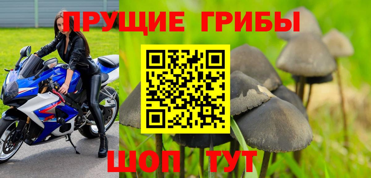 Видное  Галлюциногенные грибы ЛСД  цена   Вход с VPN 